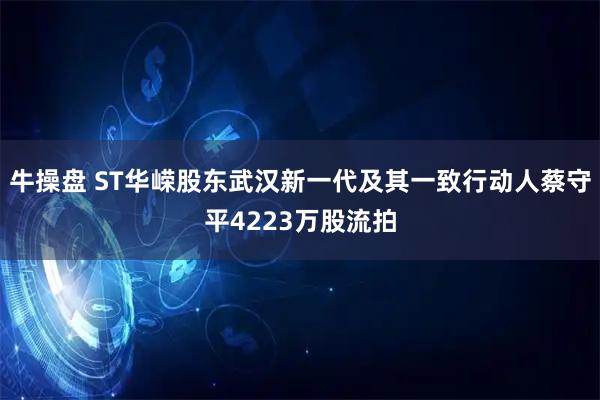 牛操盘 ST华嵘股东武汉新一代及其一致行动人蔡守平4223万股流拍